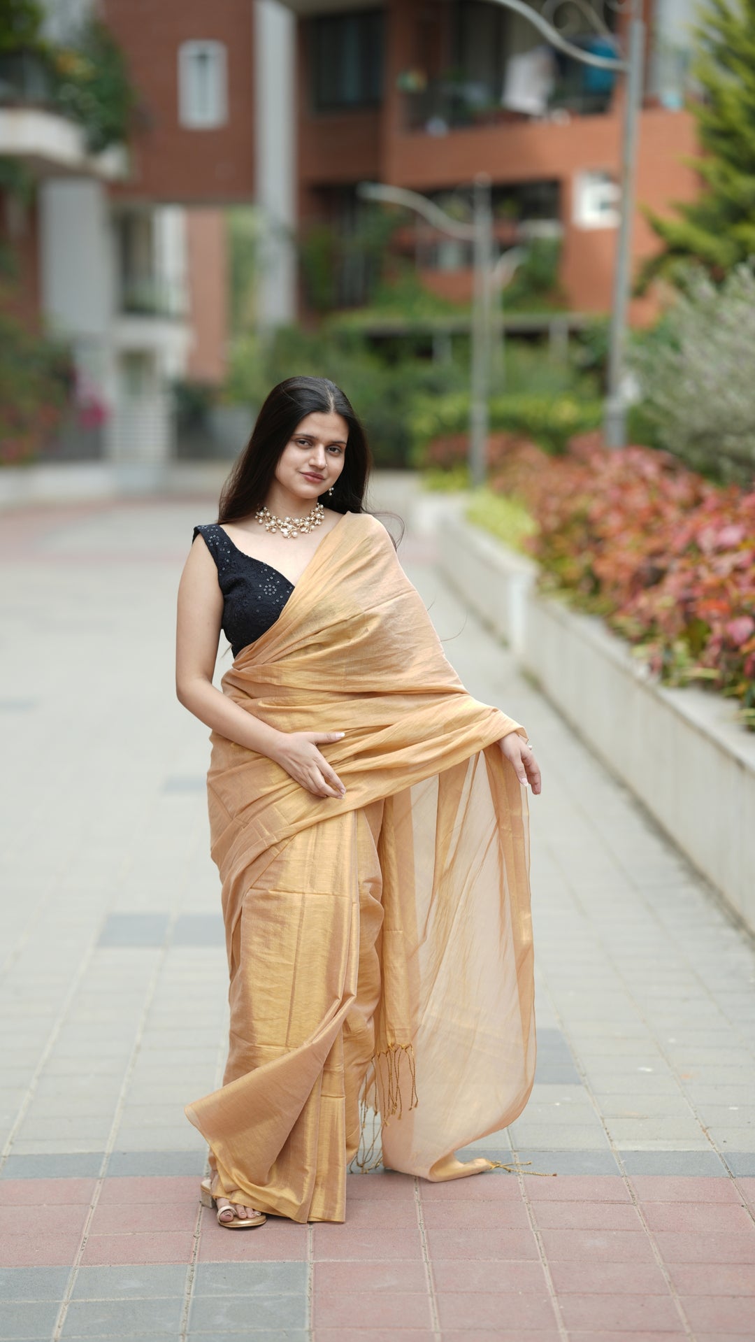 Badami Sona Tissue (Saree)