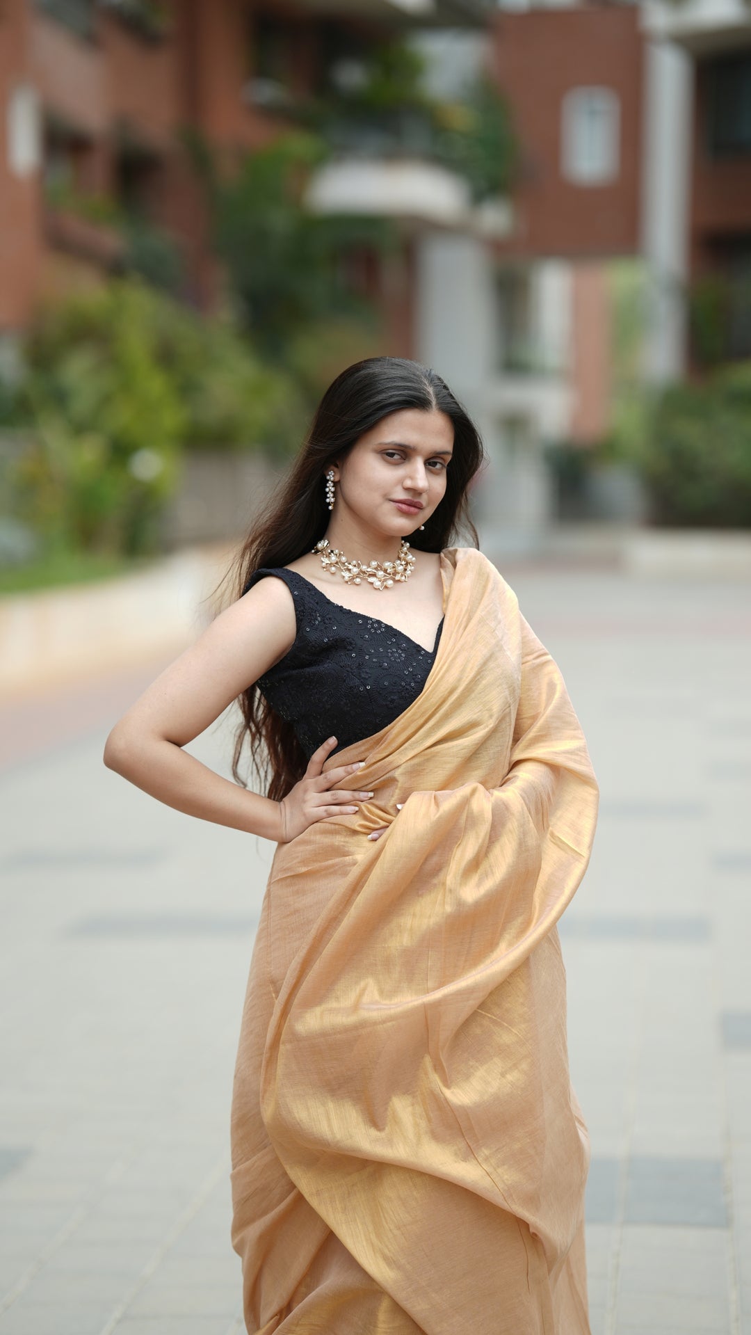 Badami Sona Tissue (Saree)