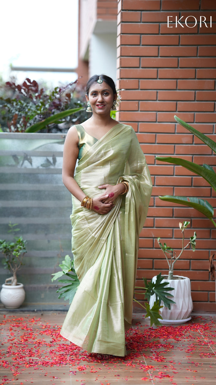 Fiza Rang Tissue (Saree)