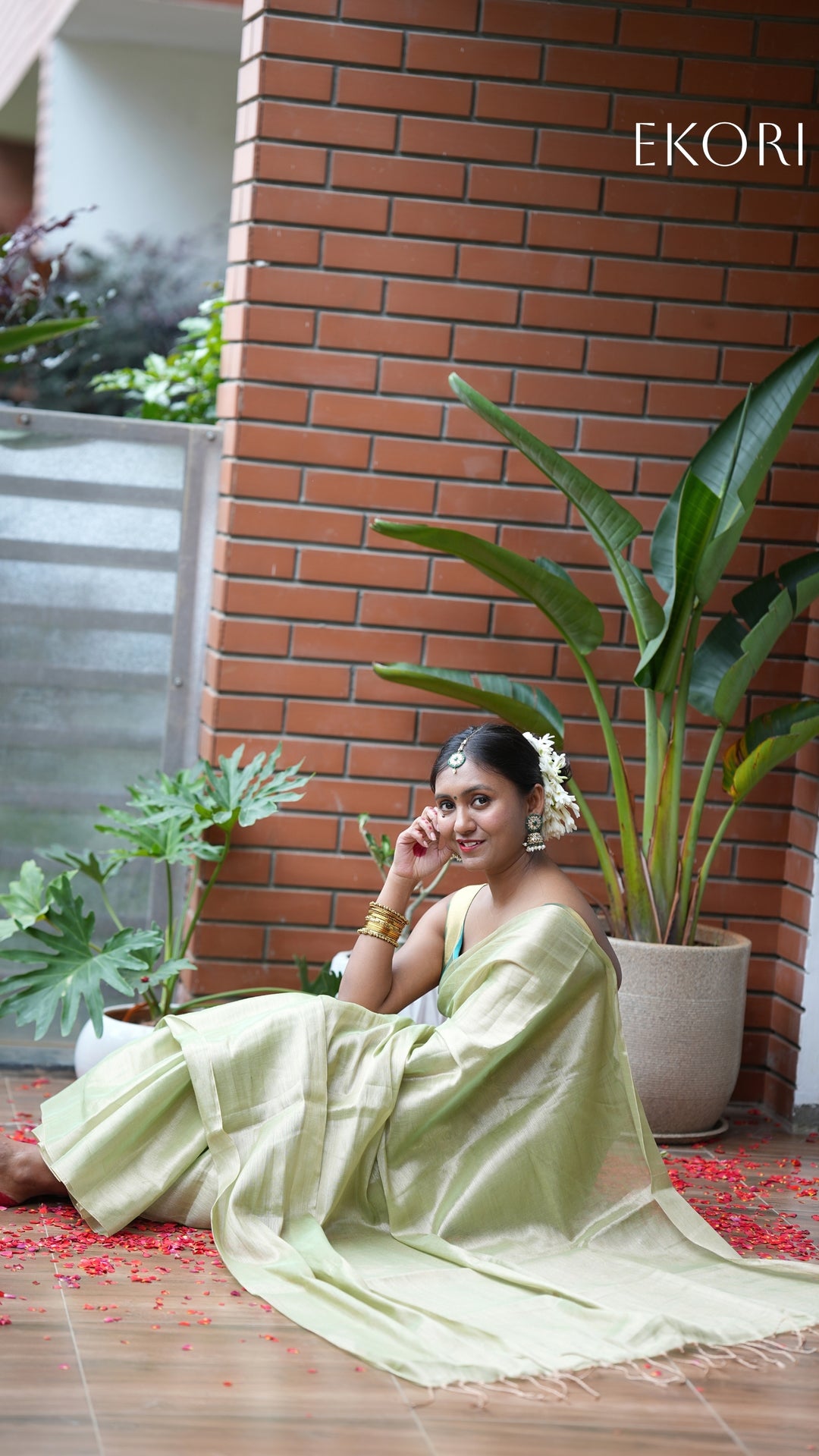 Fiza Rang Tissue (Saree)