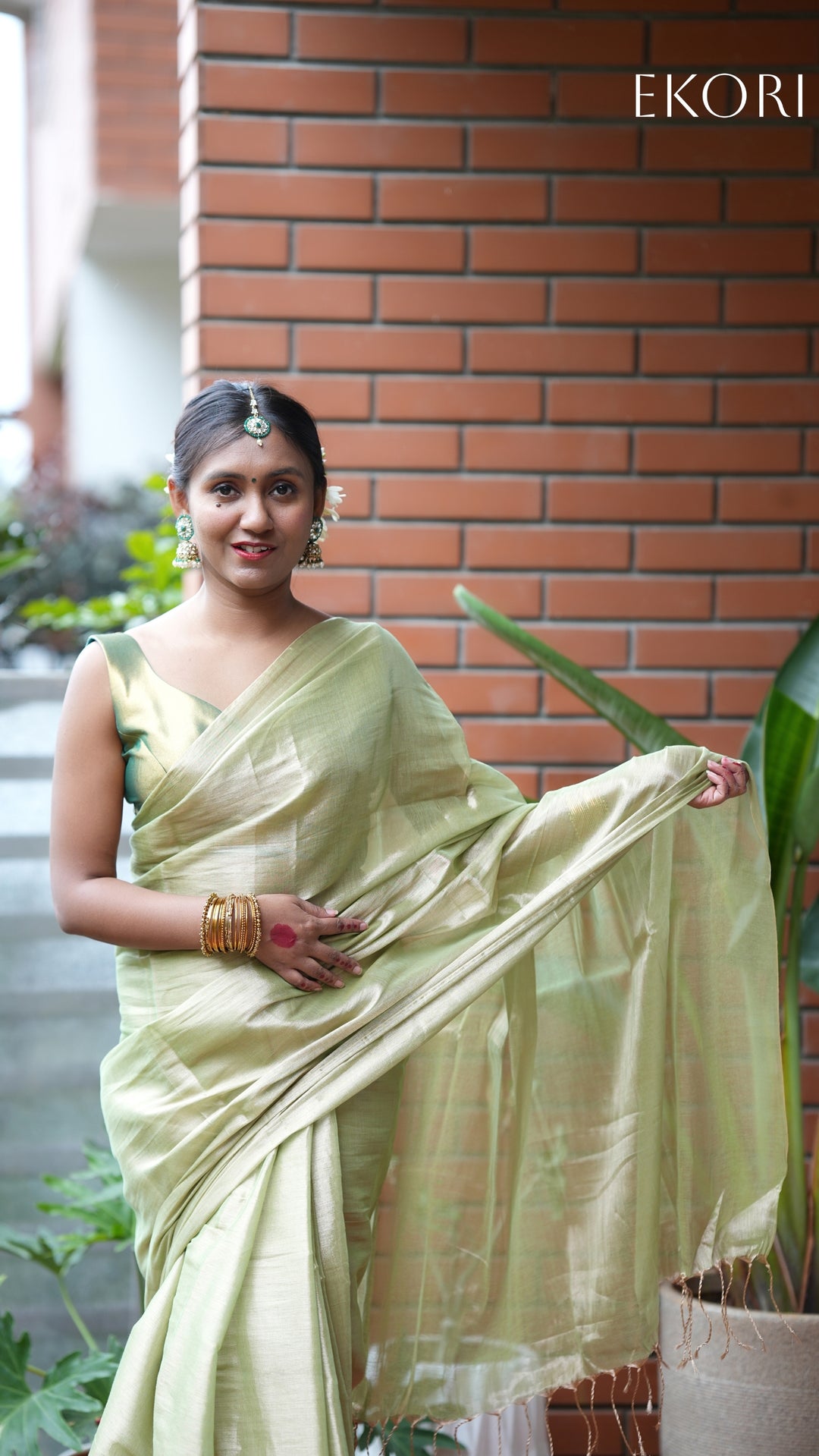 Fiza Rang Tissue (Saree)