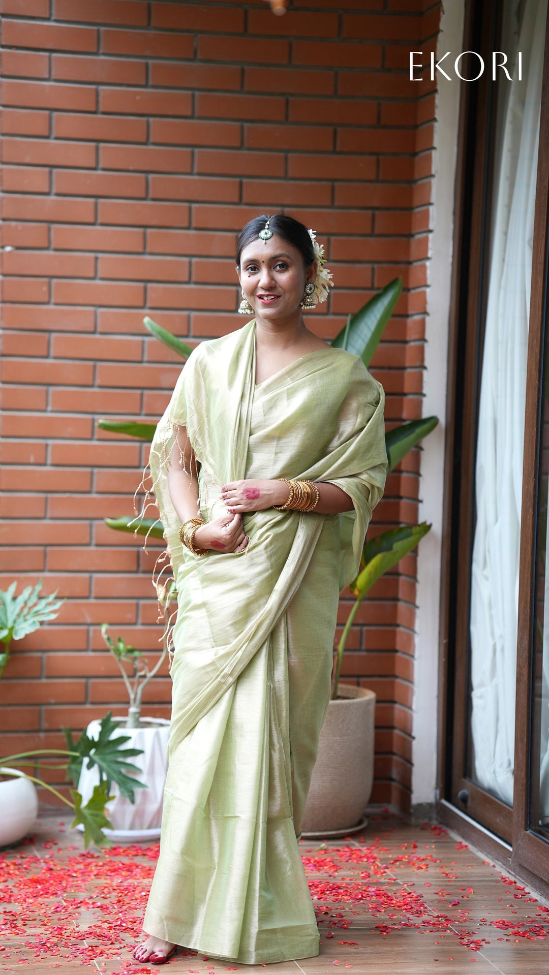 Fiza Rang Tissue (Saree)