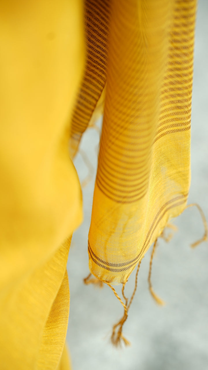 Haldi Chhaya Tissue Linen (Saree)