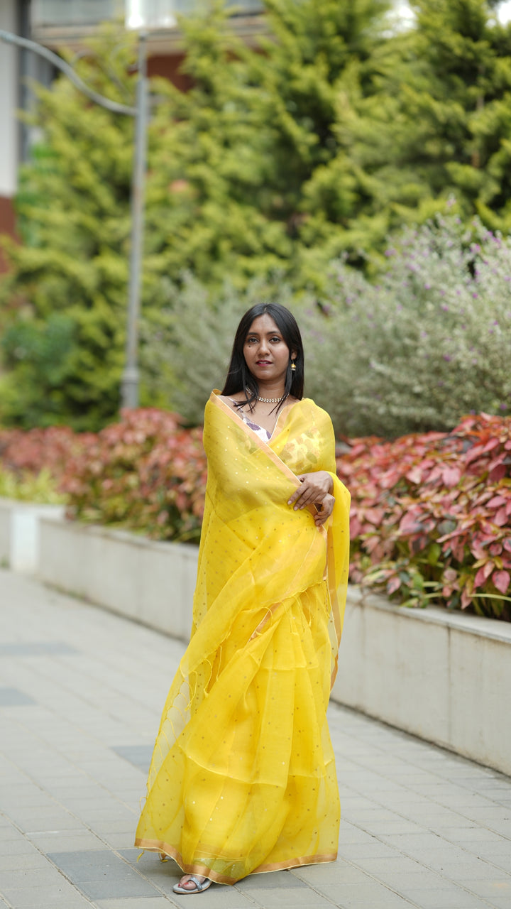 Peeli Aabroo Muslin Silk (Saree)