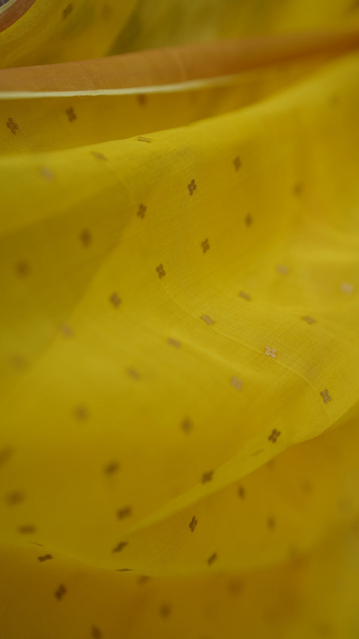 Peeli Aabroo Muslin Silk (Saree)