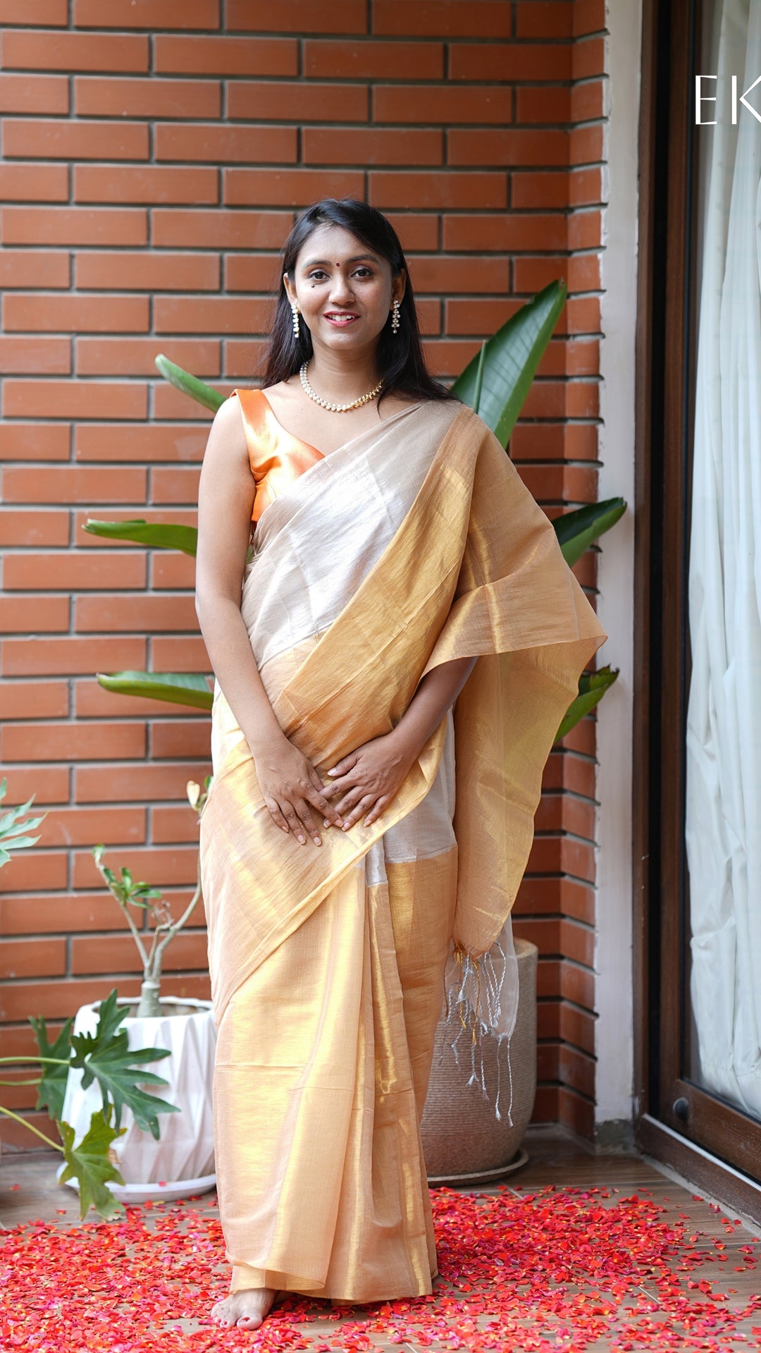 Rajrani Tissue (Saree)