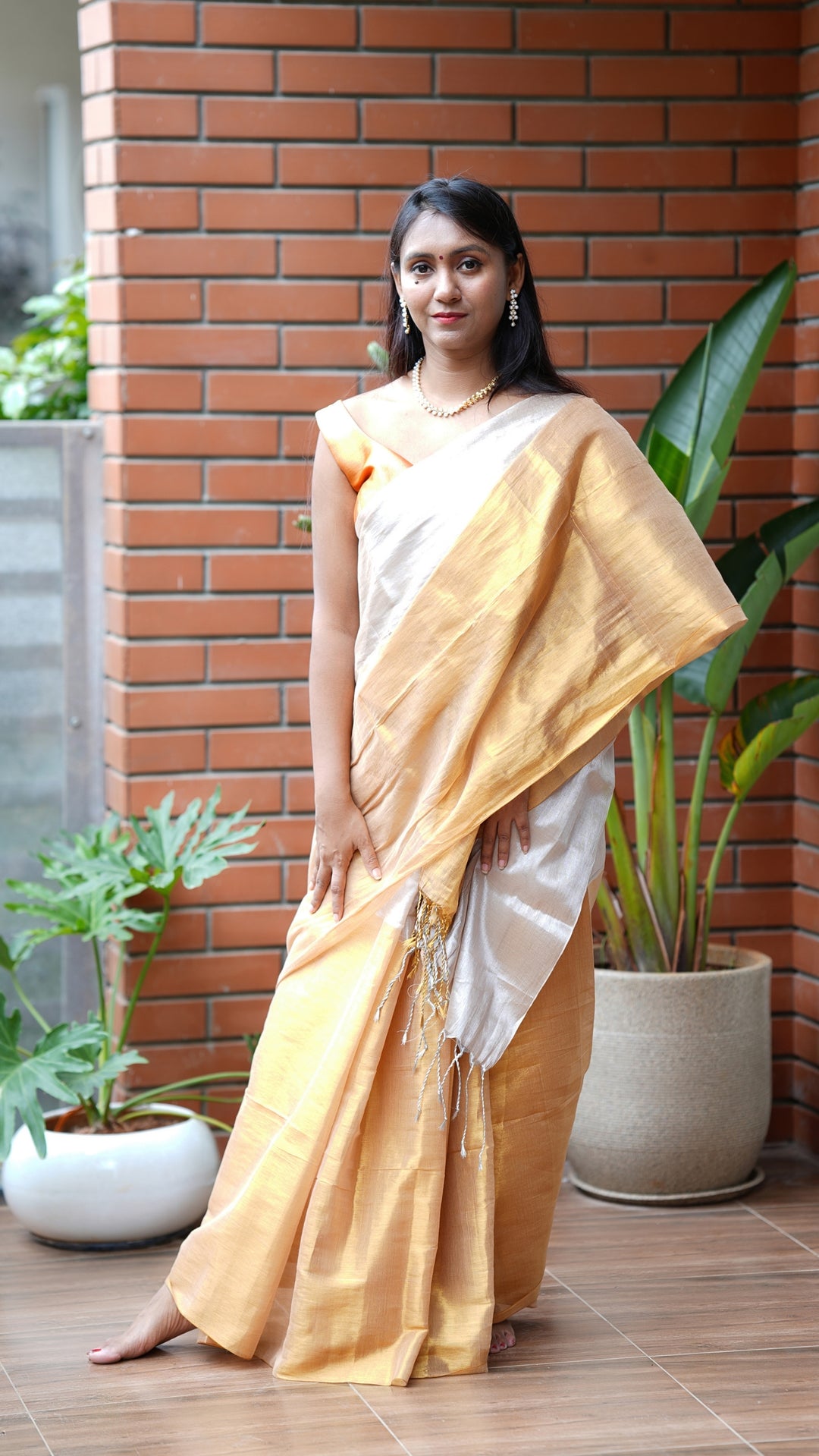 Rajrani Tissue (Saree)