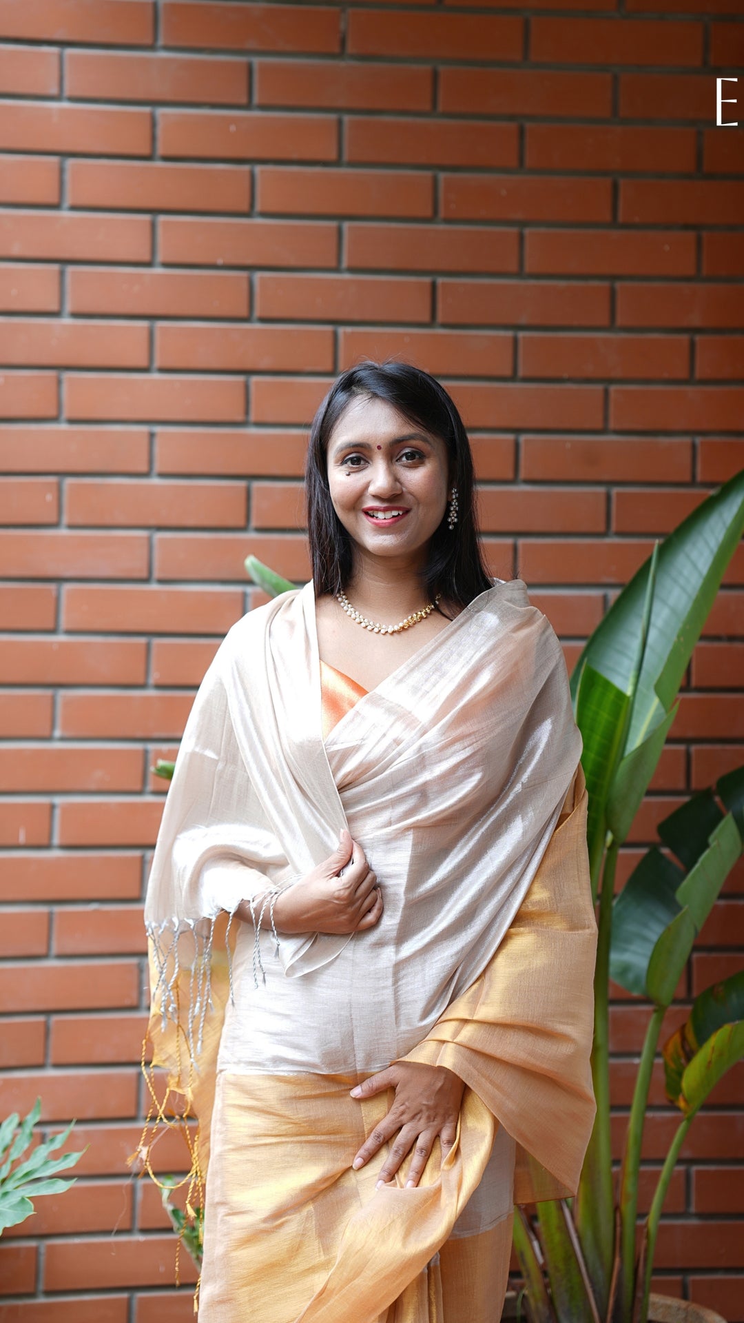 Rajrani Tissue (Saree)