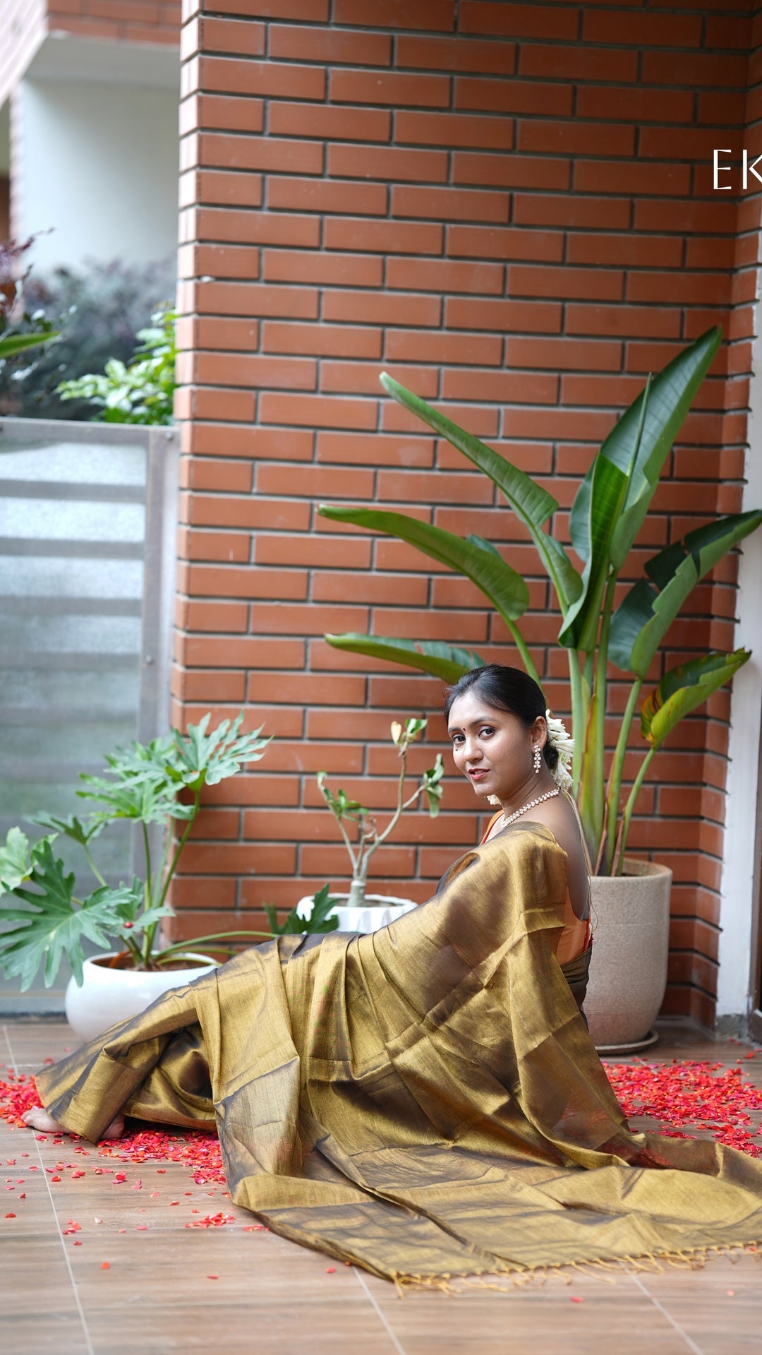 Tamrangi Tissue (Saree)